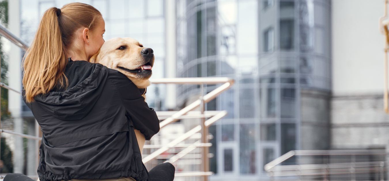 Can you Bring Dogs on Flights